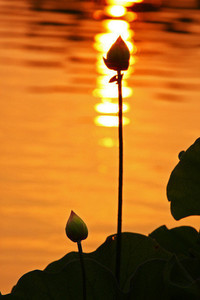 激烈角逐下足球比赛持续扣人心弦