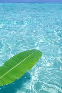 激烈角逐下足球比赛持续扣人心弦