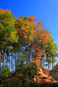 阿贾克斯胜罗马，晋级之路坎坷